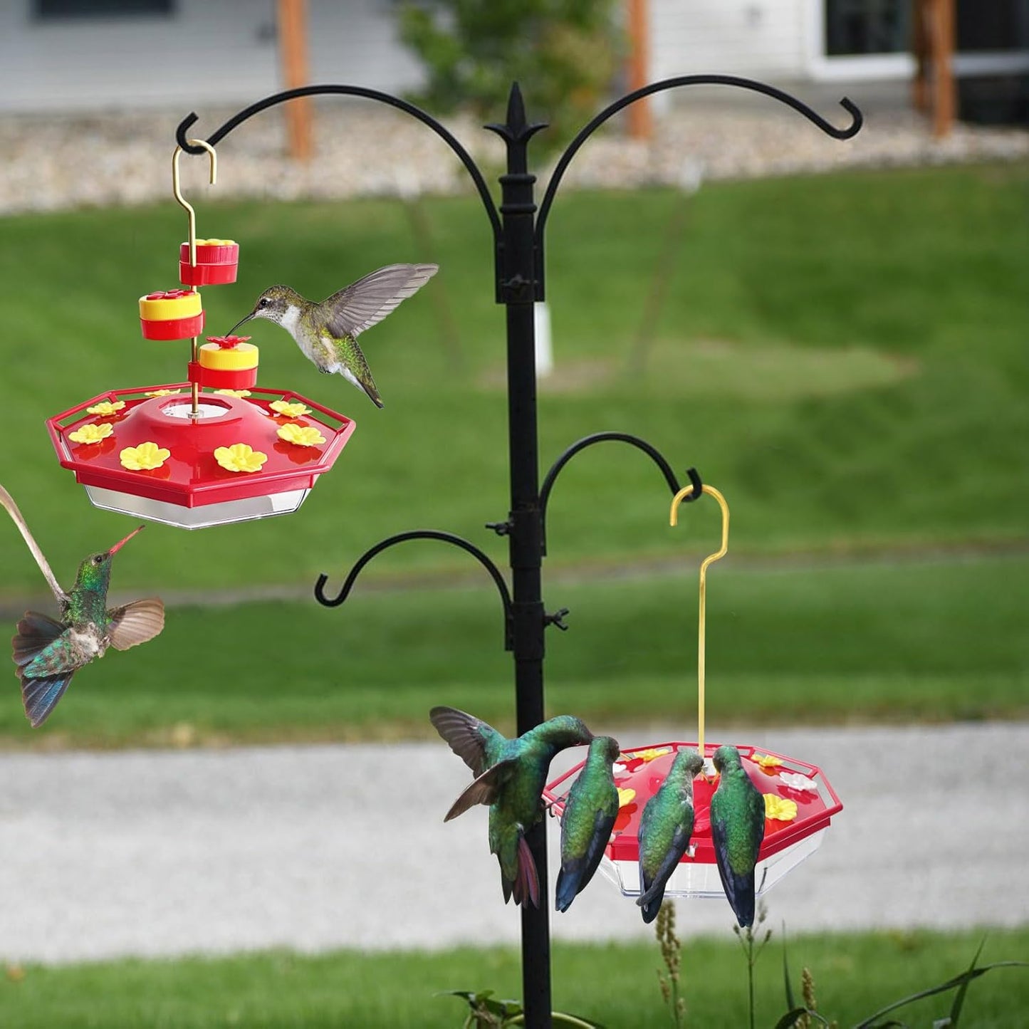 Sherum Sweety Hummingbird Feeder