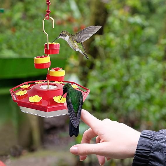 Sherum Sweety Hummingbird Feeder